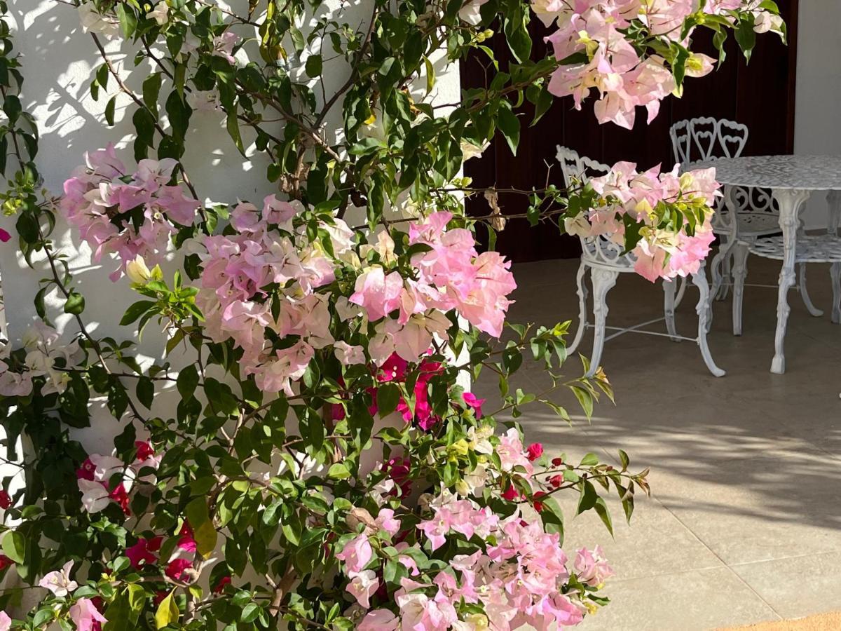 Villas Tikuch エクステリア 写真