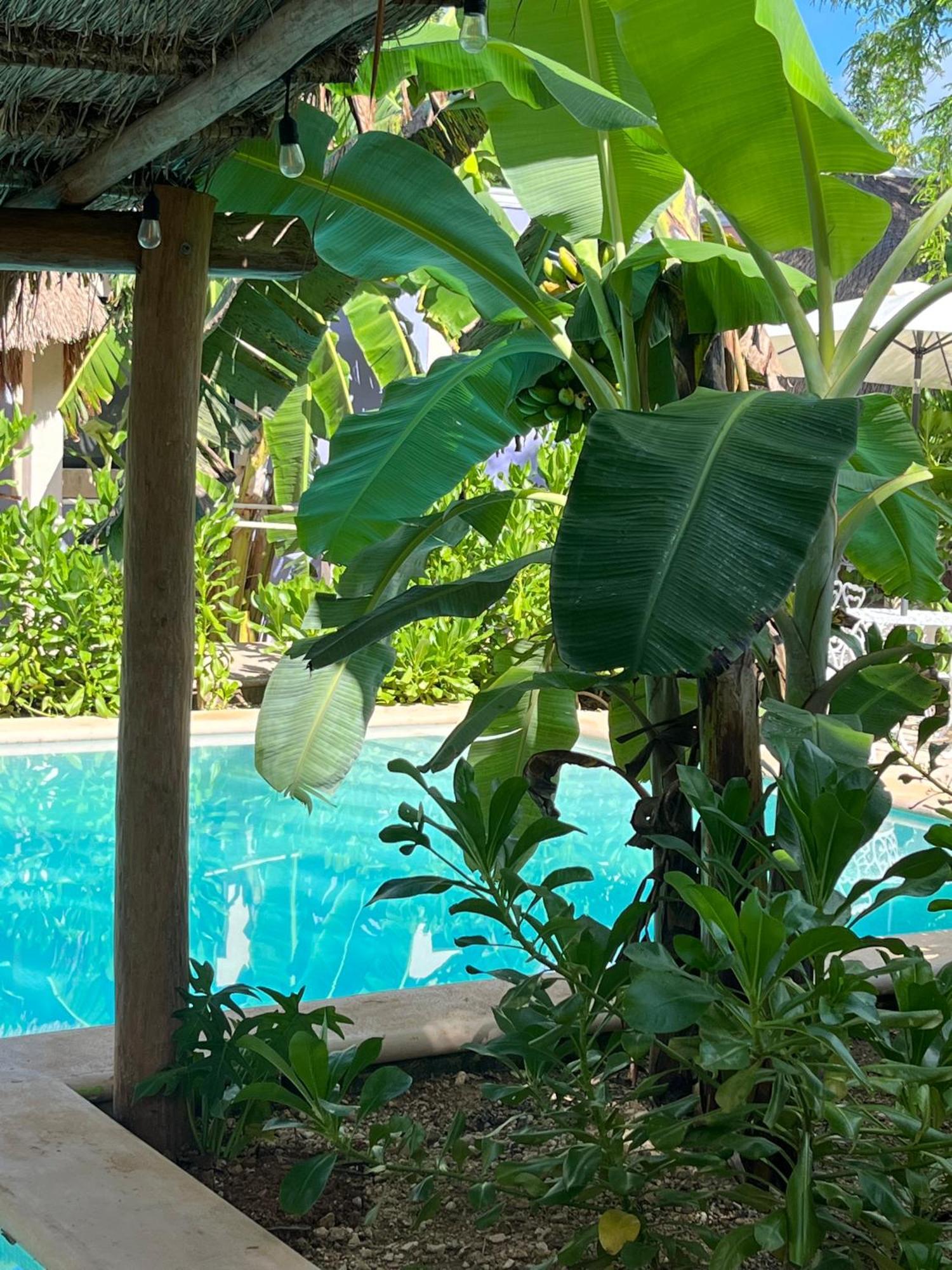 Villas Tikuch エクステリア 写真