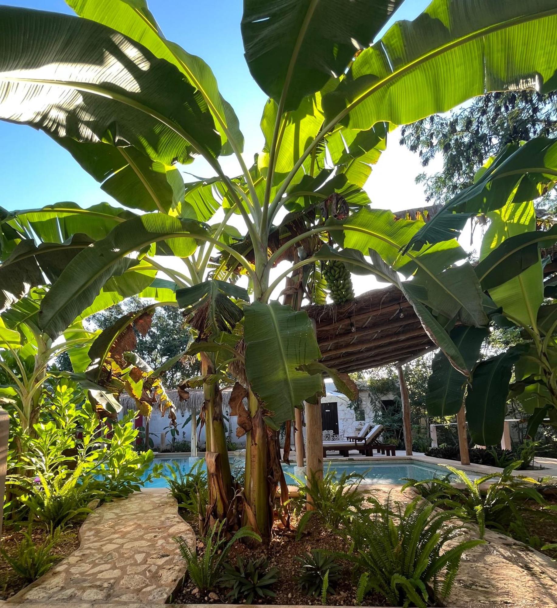 Villas Tikuch エクステリア 写真